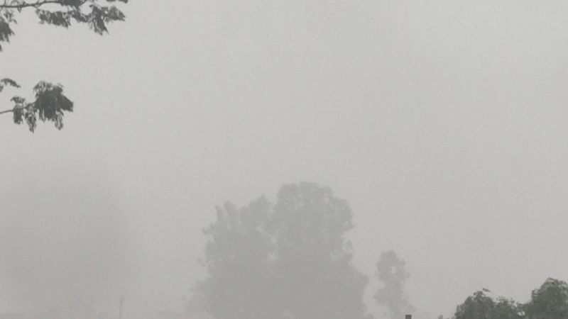 Weather Alert: ਪੰਜਾਬ, ਹਰਿਆਣਾ, ਚੰਡੀਗੜ੍ਹ ਤੇ ਦਿੱਲੀ 'ਚ ਭਾਰੀ ਮੀਂਹ ਦਾ ਅਲਰਟ, ਹਿਮਾਚਲ 'ਚ 21 ਅਗਸਤ ਤੱਕ ਖ਼ਤਰਾ, ਜਾਣੋ ਕਿਹੜੇ ਜ਼ਿਲ੍ਹਿਆਂ 'ਚ ਪਵੇਗਾ ਤੇਜ਼ ਮੀਂਹ!